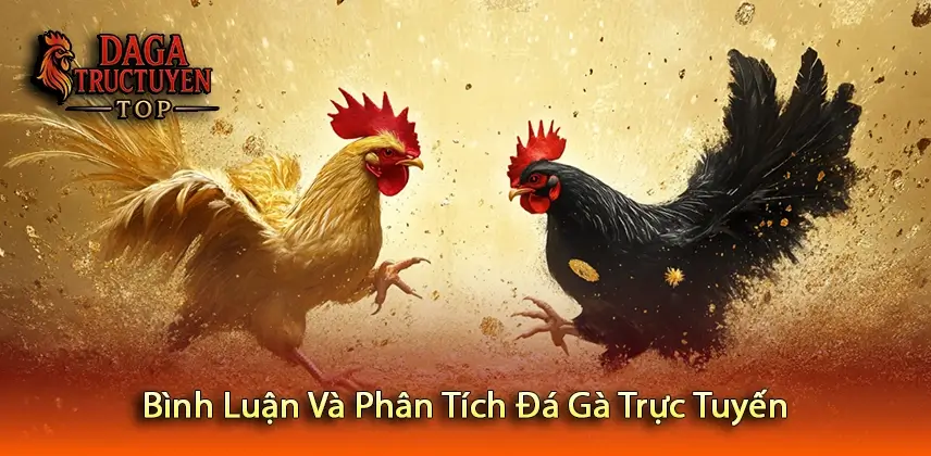 Bình Luận Và Phân Tích Đá Gà Trực Tuyến