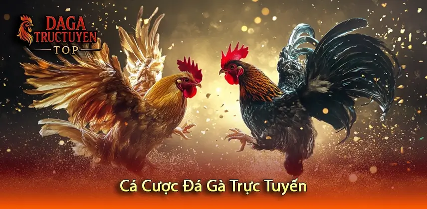 Cá Cược Đá Gà Trực Tuyến