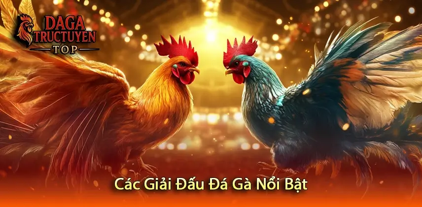 Các Giải Đấu Đá Gà Nổi Bật