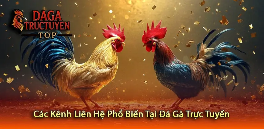 Các Kênh Liên Hệ Phổ Biến Tại Đá Gà Trực Tuyến