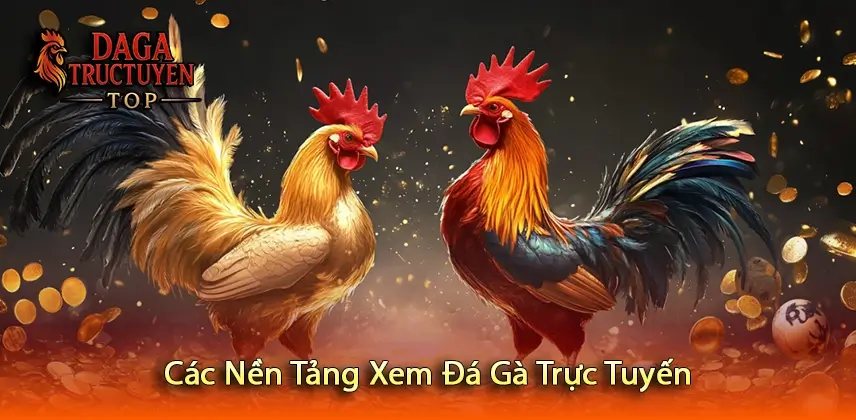 Các Nền Tảng Xem Đá Gà Trực Tuyến