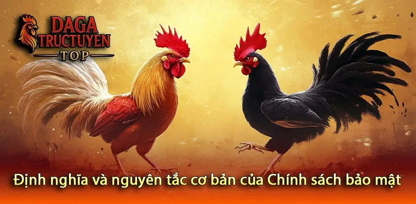 Định nghĩa và nguyên tắc cơ bản của Chính sách bảo mật