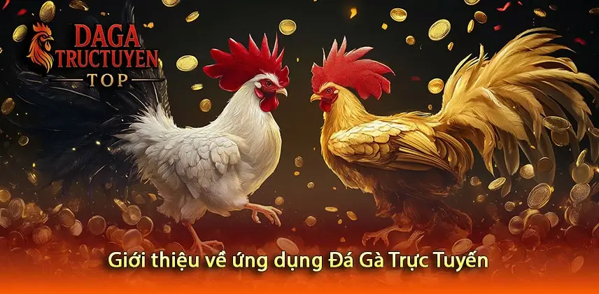Giới thiệu về ứng dụng Đá Gà Trực Tuyến