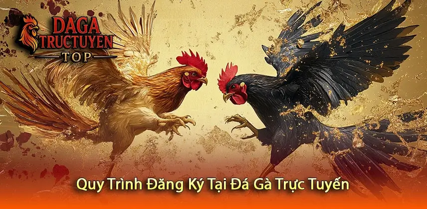 Quy Trình Đăng Ký Tại Đá Gà Trực Tuyến