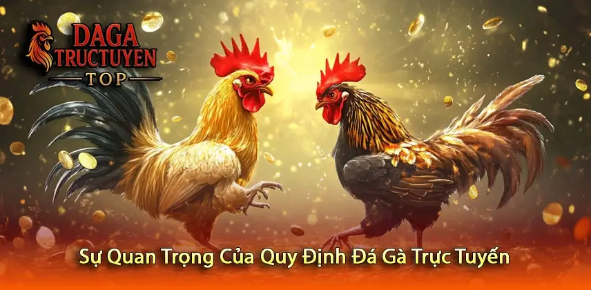 Sự Quan Trọng Của Quy Định Đá Gà Trực Tuyến