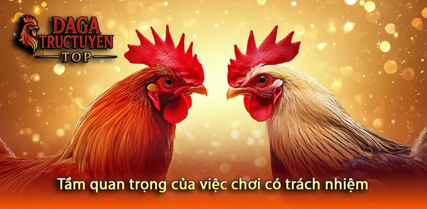 Tầm quan trọng của việc chơi có trách nhiệm