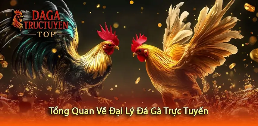 Tổng Quan Về Đại Lý Đá Gà Trực Tuyến